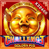 Challengeã»golden Pig